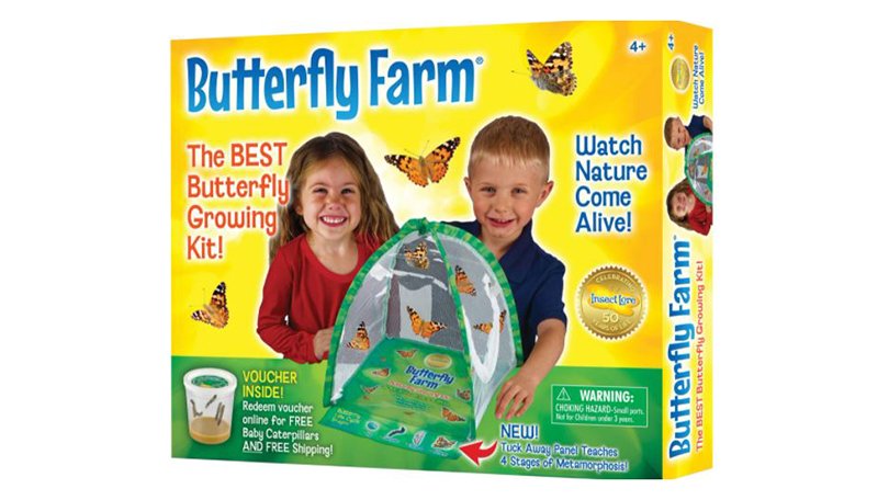 Butterfly Farm