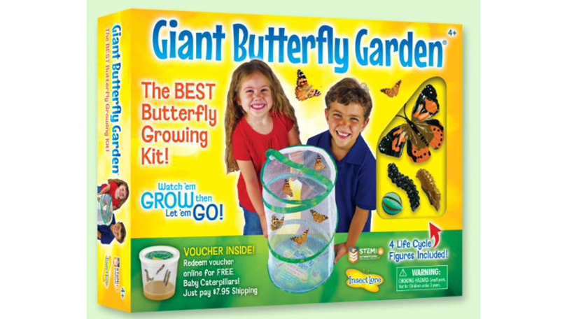 Giant Butterfly Garden